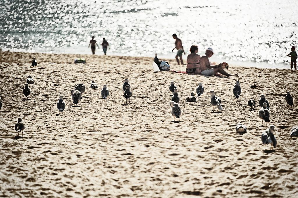 Rosamar Apartamentos Armação de Pêra Zewnętrze zdjęcie